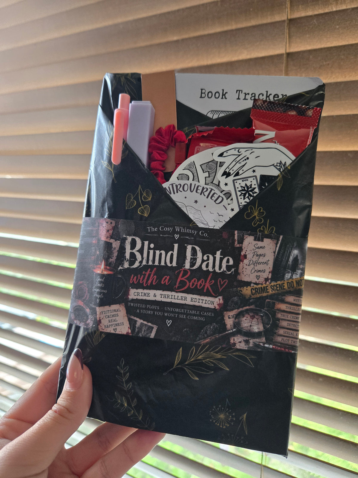 Blind date with a book