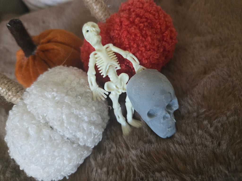 💀 Spooky Spine Tingles
Limited Edition Orange & Cinnamon Skull Wax Melts